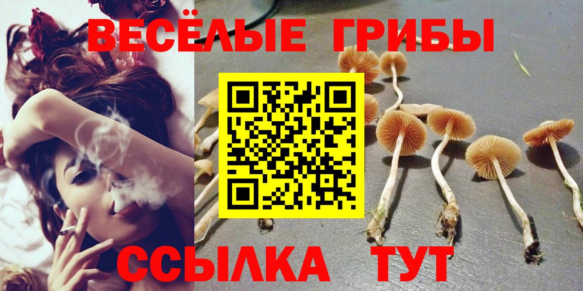 Фролово  Псилоцибиновые грибы GOLDEN TEACHER  Вход с VPN 